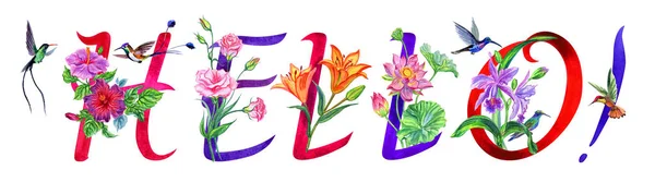 Felirat Hello Virágos Ábécé Akvarell Rajz Fehér Háttér Levelek Virágok — Stock Fotó