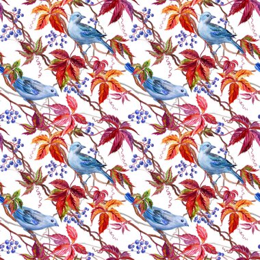 Mavi kuşlar ve beyaz bir arka planda çizim suluboya yabani üzüm seamless modeli.