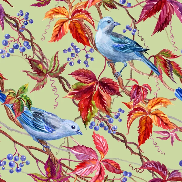 Seamless Pattern Blue Birds Wild Grapes Greenish Background Watercolor Drawing — Stock Photo, Image