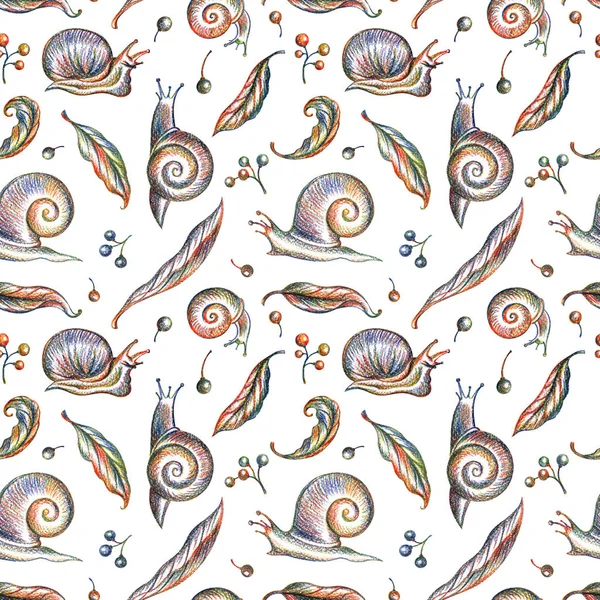 Seamless pattern of snails, grape leaves and berries on white background, hand drawing.