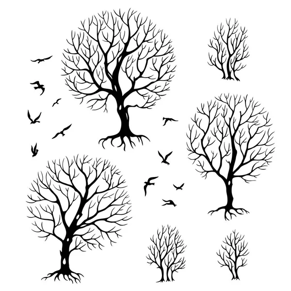 Набір Силуетів Дерев Птахів Чорно Біла Векторні Ілюстрації — стоковий вектор