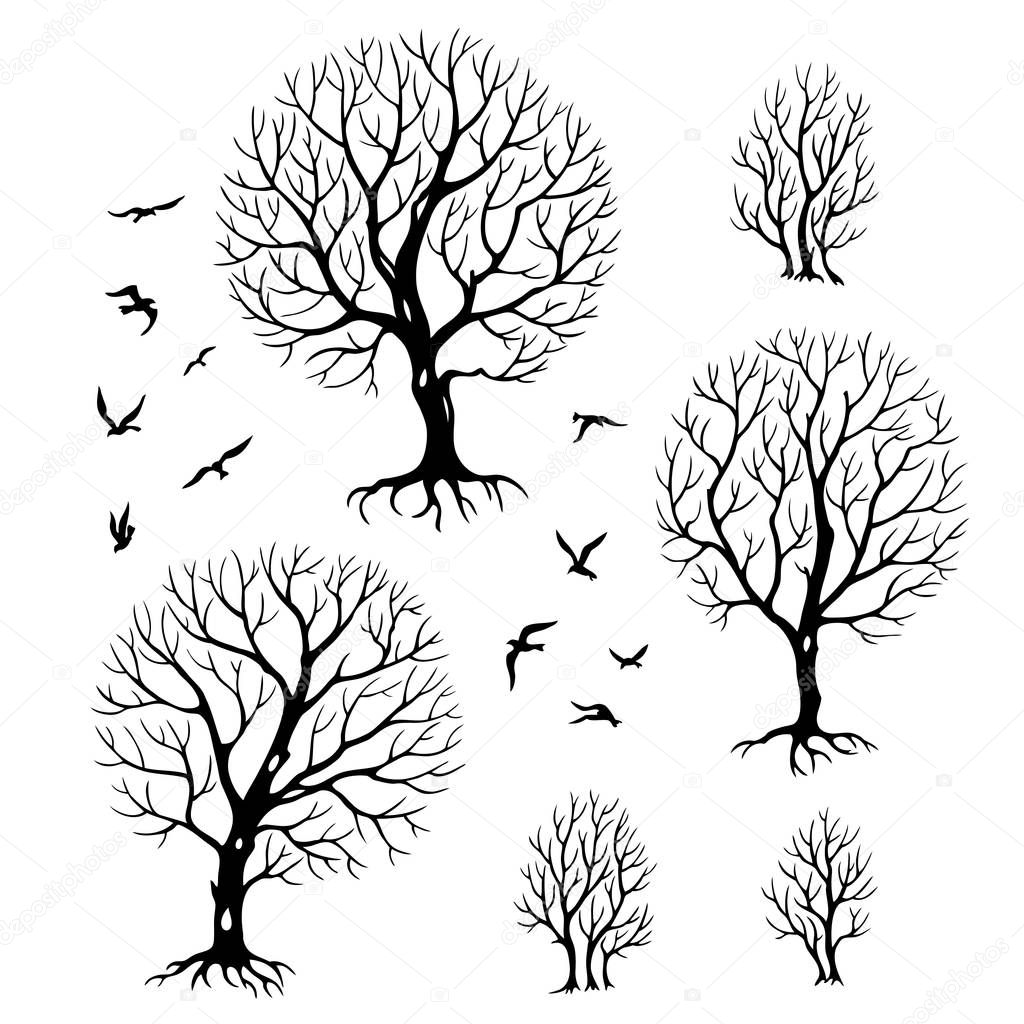 Set of silhouettes of trees and birds, black and white vector illustration.