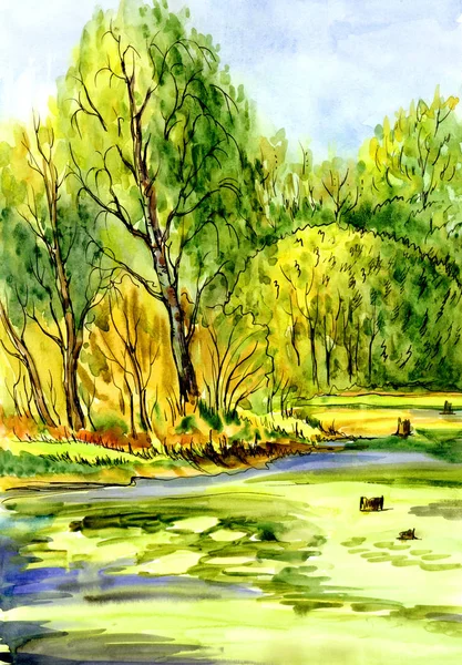 Landscape with an overgrown pond and trees on the beach, sketch, watercolor drawing.