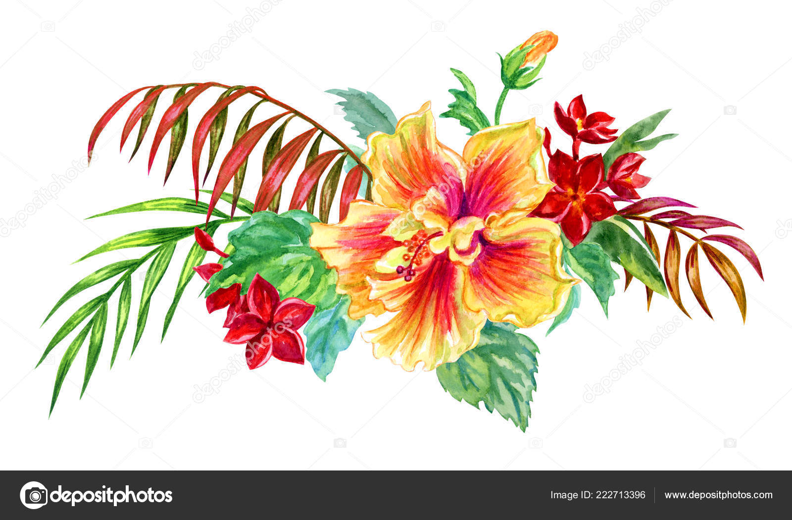 Download Bouquet Tropical Flowers Hibiscus Frangipani Palm Leaves Watercolor Illustration White Stock Photo Image By C Ollga P 09 222713396