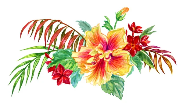 Strauß Tropischer Blüten Aus Hibiskus Und Frangipani Und Palmblättern Aquarell — Stockfoto