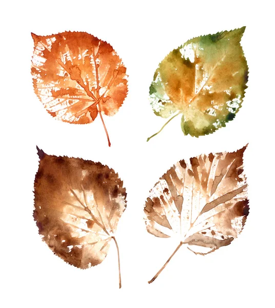 Set Linden Leaf Prints Watercolor Painting White Background Isolated Clipping — Stock Photo, Image