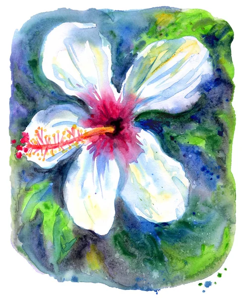 Witte Hibiscus Bloem Een Expressieve Manier Abstractie Aquarel Schilderij — Stockfoto