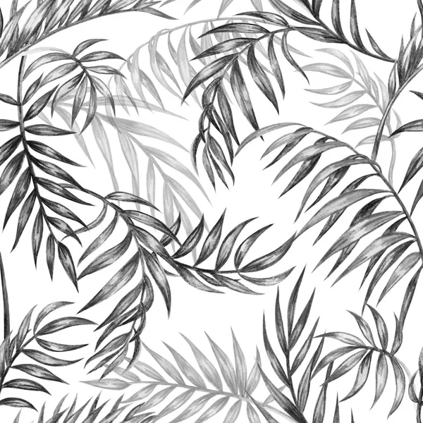 Motif Noir Blanc Sans Couture Feuilles Palmier Fond Tropical Dessin — Photo