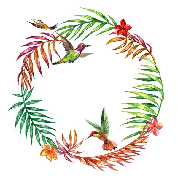 Frame Palm Leaves Frangipani Flowers Hummingbirds Tropical Decor Watercolor Painting — Stock Photo, Image