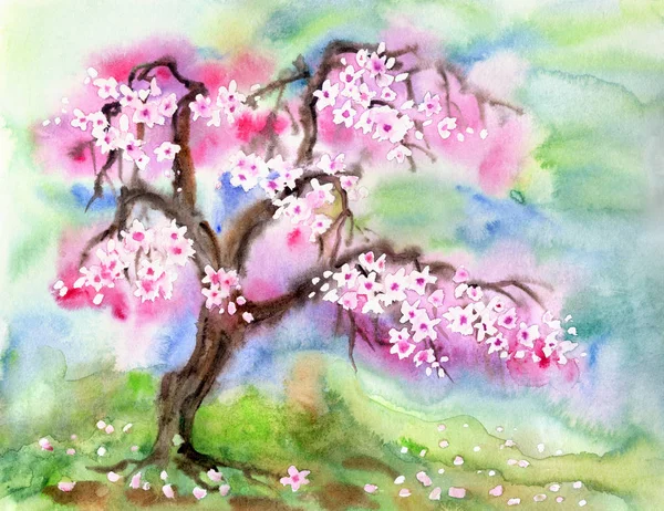 Цвіте Вишня Дерево Цвітіння Весняний Пейзаж Акварельний Живопис — стокове фото