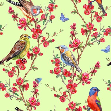 Kuşlar ve ayva çiçekleri açık yeşil arka planı üzerinde Dikişsiz desen bahar için kumaş, farklı tasarımlar için arka plan yazdırma.