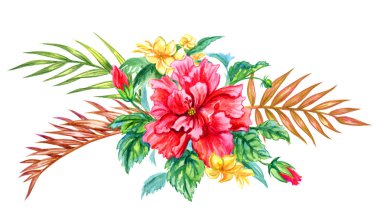 Tropik çiçekler ve bitkiler izole kırpma yolu ile beyaz bir arka plan üzerinde bir buket. Ebegümeci, plumeria, palmiye yaprakları, güzel suluboya resim.