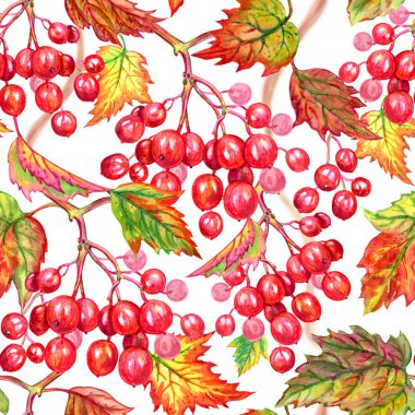 Kartopu beyaz arka plan, el çizimi, çilek çiçek arka plan seamless modeli.