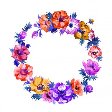 Anemonların yuvarlak çerçevesi, beyaz arka plan üzerine suluboya boyama, izole.