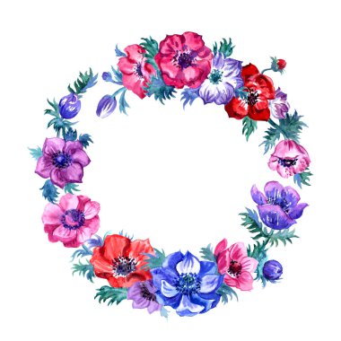 Anemonların yuvarlak çerçevesi, beyaz arka plan üzerine suluboya boyama, izole.