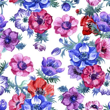 Beyaz arka plan, suluboya çizim üzerinde Anemon dikişsiz desen. Kumaş ve diğer tasarımlar için çiçek baskı.