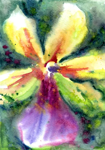 Orquídea Brillante Una Manera Expresiva Con Salpicaduras Manchas Pintura Pintura —  Fotos de Stock