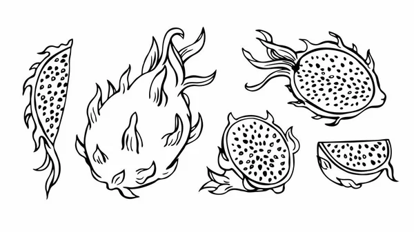 Dragonfruit Pitahaya Dibujo Gráfico Blanco Negro Juego Frutas — Vector de stock