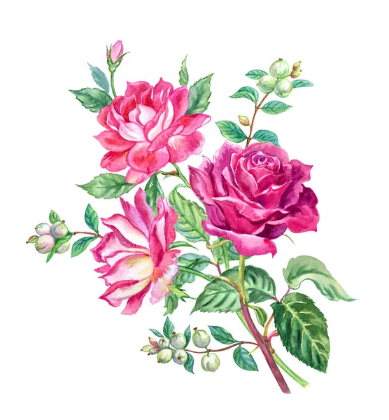 玫瑰花和雪莓花束 水彩画上白色背景孤立 — 图库照片