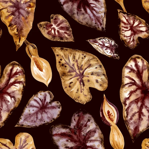 Seamless Pattern Leaves Flowers Tropical Plant Caladium Brown Tones Black — Stock Photo, Image