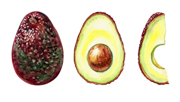 Avocadosorten Haß Ganz Und Scheiben Geschnitten Aquarellmalerei Auf Weißem Hintergrund — Stockfoto