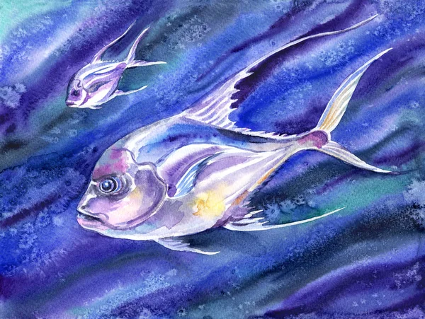 Морська Риба Діамант Каранкс Під Водою Акварельна Ілюстрація Живопис Плакат — стокове фото