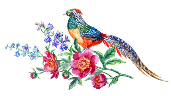 Pheasant Bouquet Peonies Delphinium Decorative Composition Flowers Birds Watercolor Illustration — Stock Photo, Image