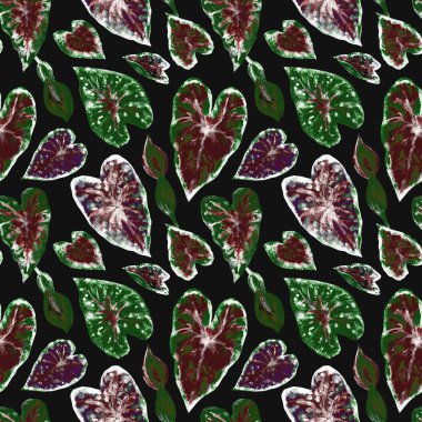Siyah bir arka plan üzerinde Caladium bitkinin tropikal yaprakların Dikişsiz desen, el çizim, kumaş ve diğer tasarımlar için baskı.