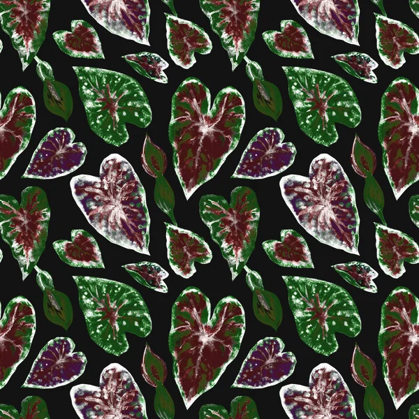 黒い背景 手描き 生地や他のデザインのための印刷にカラジウム植物の熱帯葉のシームレスなパターン — ストック写真