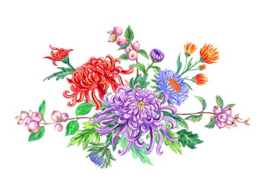 Buket - bir kar mersini çilek ile krizantem, asters ve dalları bir vinyet. Beyaz arka plan üzerinde suluboya illüstrasyon, izole.