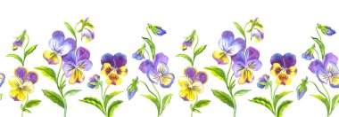 Beyaz arka plan, suluboya illüstrasyon, kumaş ve diğer tasarımlar için baskı üzerinde pansies Dikişsiz sınır.