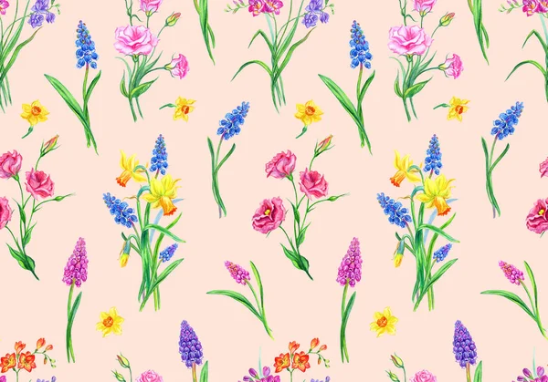 春天的花朵无缝图案的水仙花 穆斯卡里 紫红色和自由花在粉红色米色背景 水彩插图 织物打印和其他设计 — 图库照片