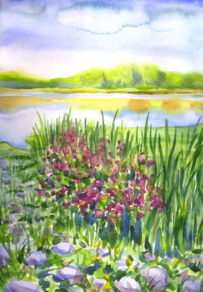 Landschap Met Een Rotsachtige Bloeiende Riverside Aquarel Illustratie Schilderij — Stockfoto
