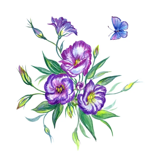 Μωβ Ευστόμα Και Μπλε Πεταλούδα Ακουαρέλα Σχέδιο Χεριού Από Λουλούδια — Φωτογραφία Αρχείου