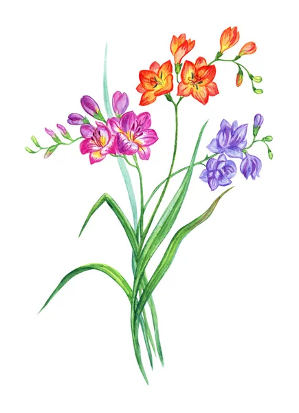 빛깔의 자유의 꽃다발 배경에 수채화 그리기 클리핑 경로로 — 스톡 사진