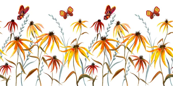 Απρόσκοπτη Σύνορα Από Αφηρημένη Rudbeckia Λουλούδια Γρασίδι Και Πεταλούδες Floral — Φωτογραφία Αρχείου