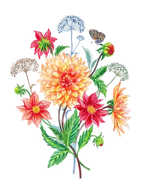 Jesienny Bukiet Dahlii Motylem Ilustracja Akwarela Białym Tle Odizolowany — Zdjęcie stockowe