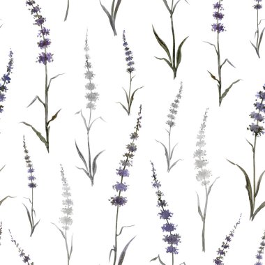 Beyaz bir zemin, suluboya çizimi, kumaş ve diğer tasarımlar için baskı ve benzeri nane ya da lavanta benzeri kusursuz desenler..