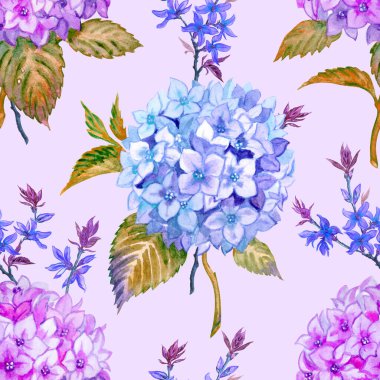 Yumuşak mor bir zemin üzerinde ortanca ve forsythia dikişsiz desen suluboya resimleme, kumaş, duvar kağıdı, ambalaj kağıdı ve diğer tasarımlar için çiçek baskısı.