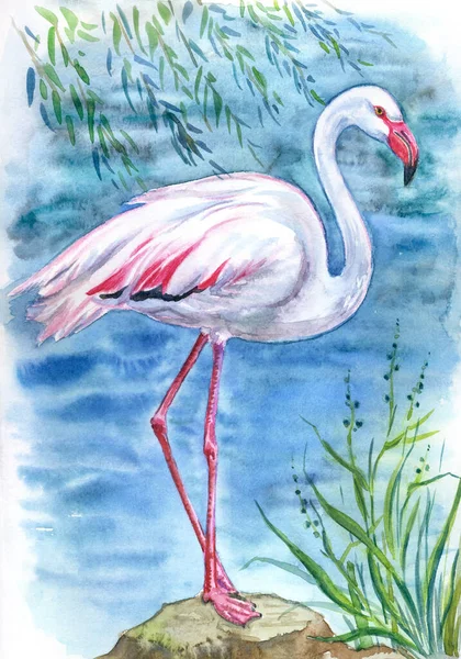 분홍빛 플라밍고 페인트 포스터 페인팅 형태의 동물적 인쇄물 — 스톡 사진