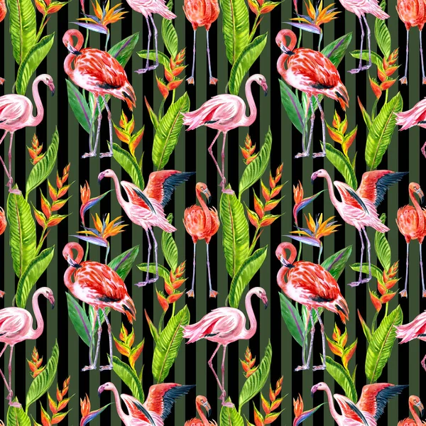 Patrón Sin Costura Con Pájaros Flamencos Flores Tropicales Strelitzia Heliconia — Foto de Stock