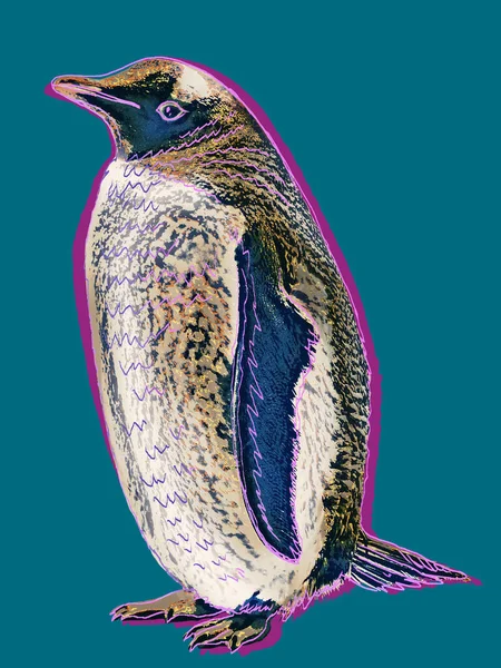 Pingouin Sur Fond Gris Bleu Image Abstraite Dans Style Pop — Photo
