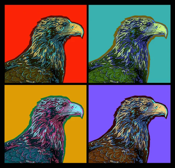 Collage of images of an eagle on bright backgrounds, digital illustration in pop art style. Zoological print for poster, postcard, book illustration or cover and other designs.