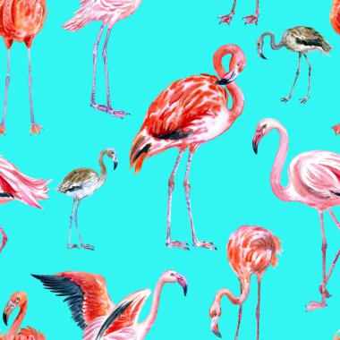 Turkuaz arka planda flamingo pürüzsüz desen, beyaz arkaplanda suluboya resim, kumaş, duvar kağıdı, ambalaj kağıdı, ev eşyaları dekor, vb..