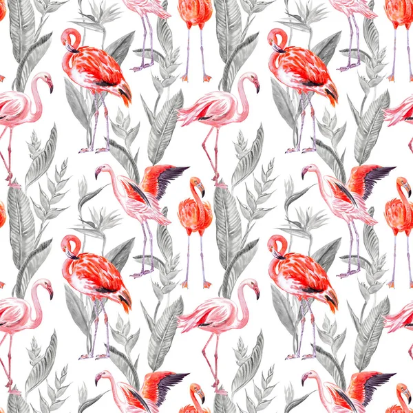 Modèle Sans Couture Flamingo Sur Fond Plantes Tropicales Strelitzia Illustration — Photo