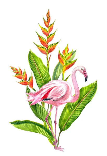 Flamant Rose Héliconie Aquarelle Sur Fond Blanc Isolé Imprimé Tropical — Photo