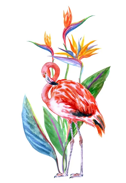 Flamingo Strelitzia Watercolor Illustration White Background Isolated Tropical Print Fabric — Stock Photo, Image