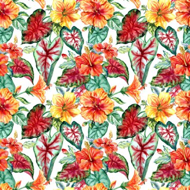 Kusursuz bir tropik çiçek deseni ve beyaz arka planda yapraklar. Sarı ve turuncu amber çiçekleri ve Caladium yaprakları kumaş, ev mobilyası dekoru ve çeşitli tasarımlar için tropikal desenler..