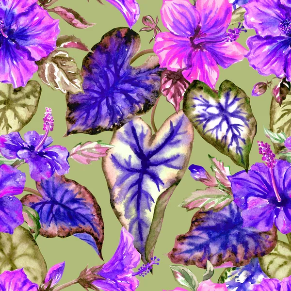 Bezešvé Vzory Tropických Květů Listů Purpurových Odstínech Hibiscus Caladium Listy — Stock fotografie