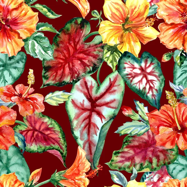 Problemfri Mønster Orange Gul Hibiscus Caladium Blade Bordeaux Baggrund Tropisk - Stock-foto